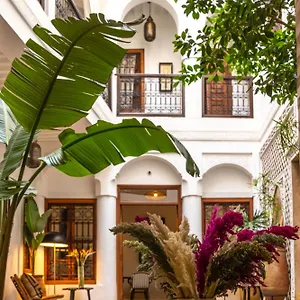 Dar Beldia And **** Marrakesz